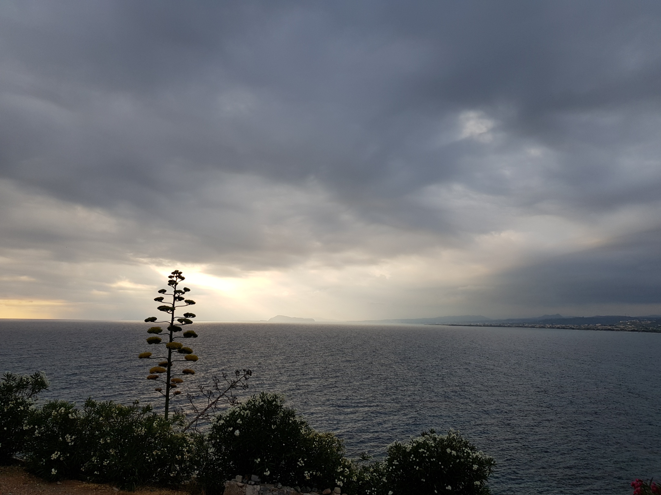 20190715_073211_resized 20190715_073211_resized